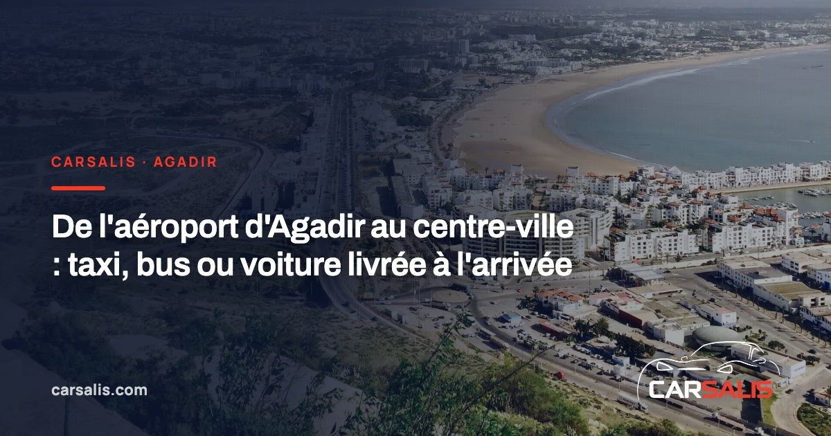 Route d'accès à un aéroport bordée de palmiers au crépuscule