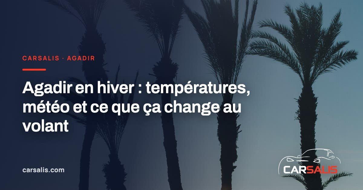 Palmiers et océan Atlantique sous une douce lumière d'hiver à Agadir