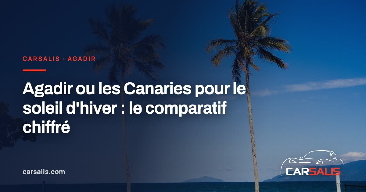 Côte rocheuse et océan sous un soleil d'hiver, palmier au premier plan