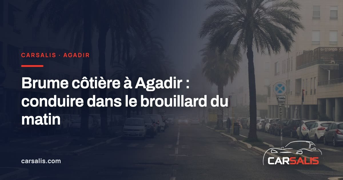 Route côtière dans la brume du matin, palmiers estompés au bord de la chaussée
