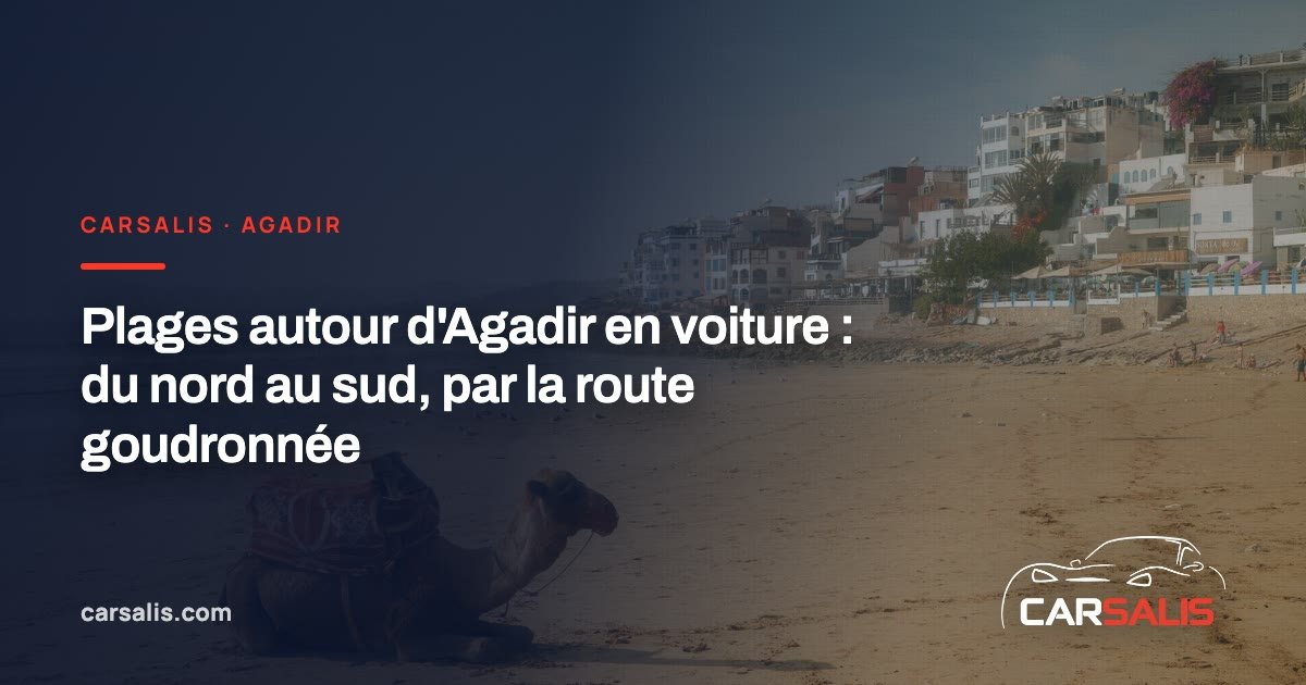 Vue aérienne d'une plage de sable au pied de falaises, sur la côte atlantique